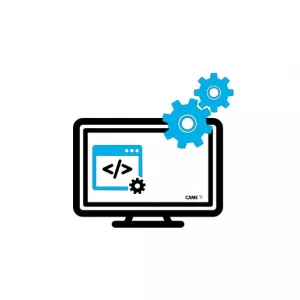 Лицензия CAME LIC/GST001 62880010 Лицензия CAME LIC/GST001 62880010